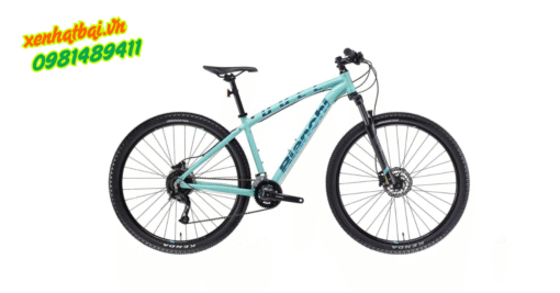 Bianchi Duel 27S