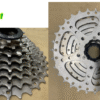 Líp 8 Thả Trắng CSM 0832 PROMEND