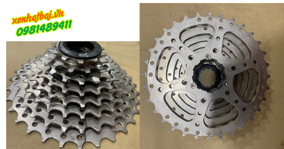 Líp 8 Thả Trắng CSM 0832 PROMEND
