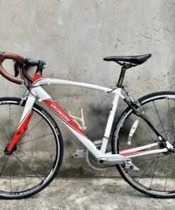 SPECIALIZED full carbon