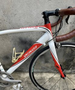SPECIALIZED full carbon